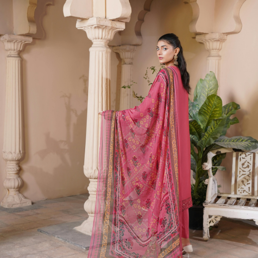 Women Printed Hand – Embroidered Anarkali Set with Dupatta